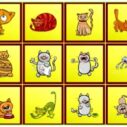 Cats Findiff 5 cats findiff