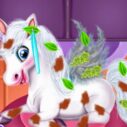 magic pet salon