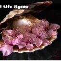 Still Life Jigsaw 8 still life jigsaw